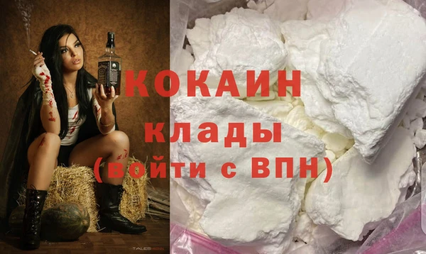 трава Гусиноозёрск