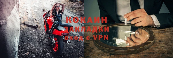 трава Гусиноозёрск