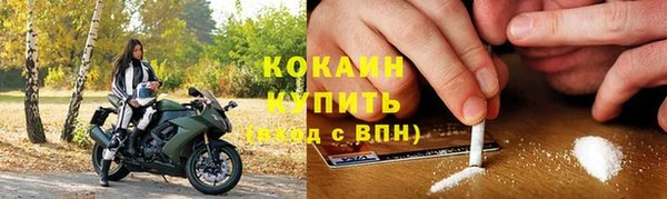 ALPHA-PVP Гусев