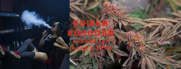 ALPHA-PVP Гусев