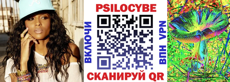 Купить закладки  Курчалой  Псилоцибиновые грибы MAGIC MUSHROOMS 