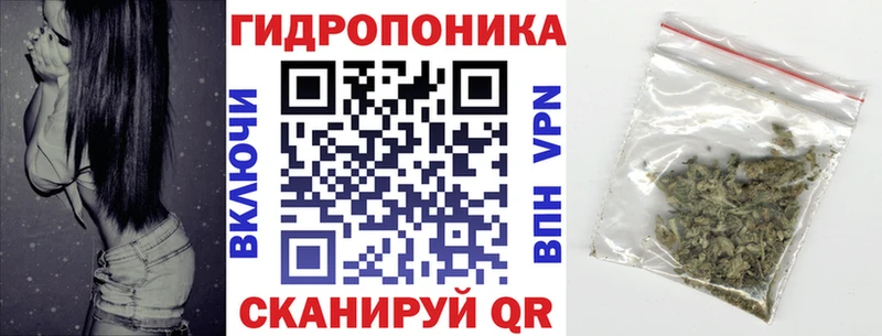 Купить  Курчалой  Канабис THC 21% 